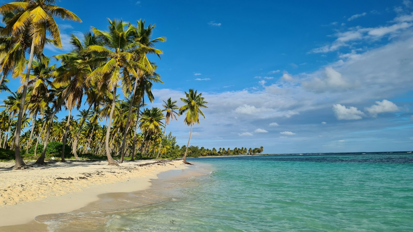 Playa del Caribe